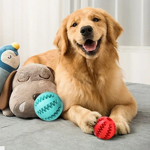 PET DOG INTERACTIVE TOY