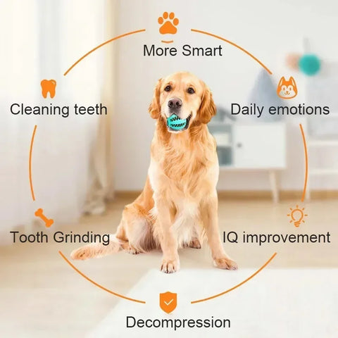 PET DOG INTERACTIVE TOY