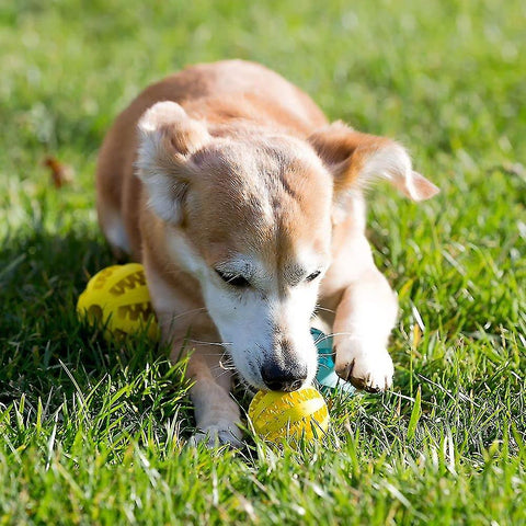 PET DOG INTERACTIVE TOY