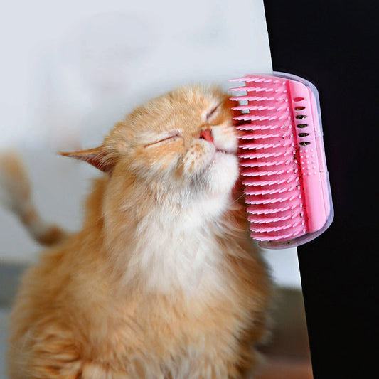 CATS CORNER BRUSH